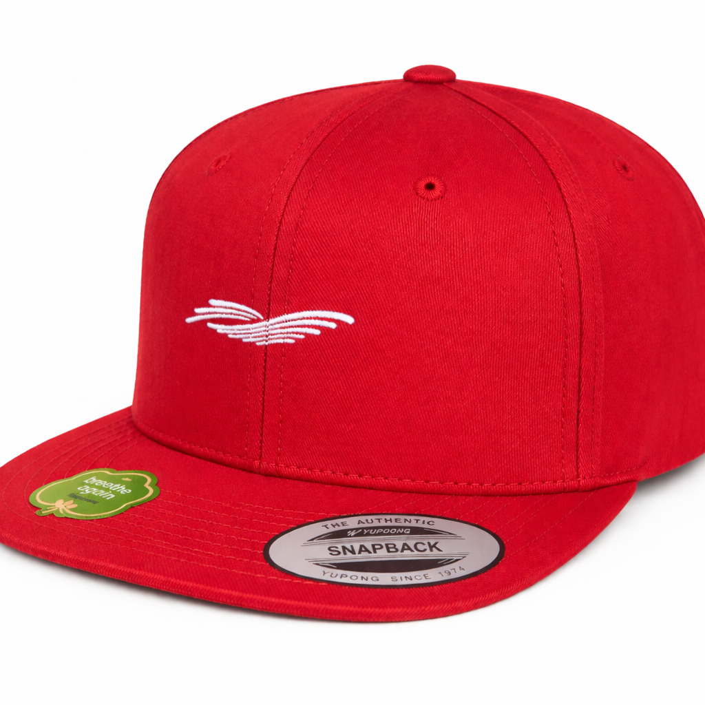 Casquette Snapback